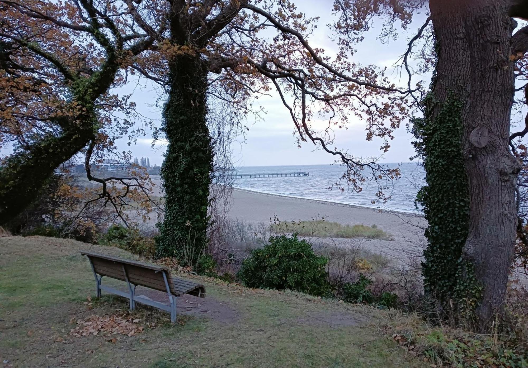 Fewo Muschelgetuschel Im Prinz Hamlet - Direkte Strandlage Pelzerhaken Extérieur photo